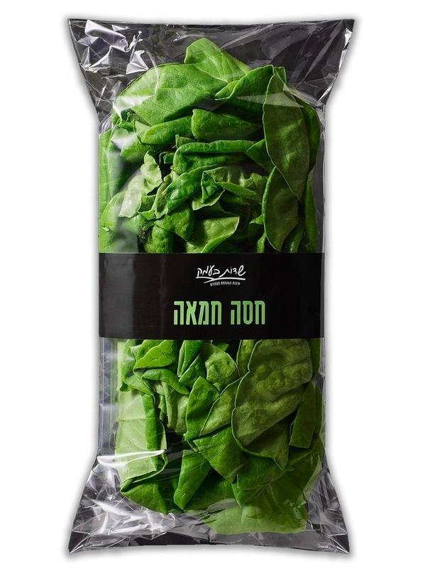 חסה חמאה
