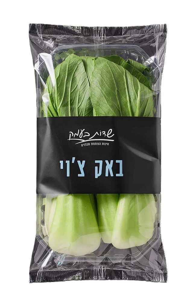 באק צ'וי