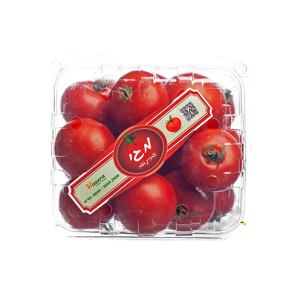 עגבניה מגי (מארז)