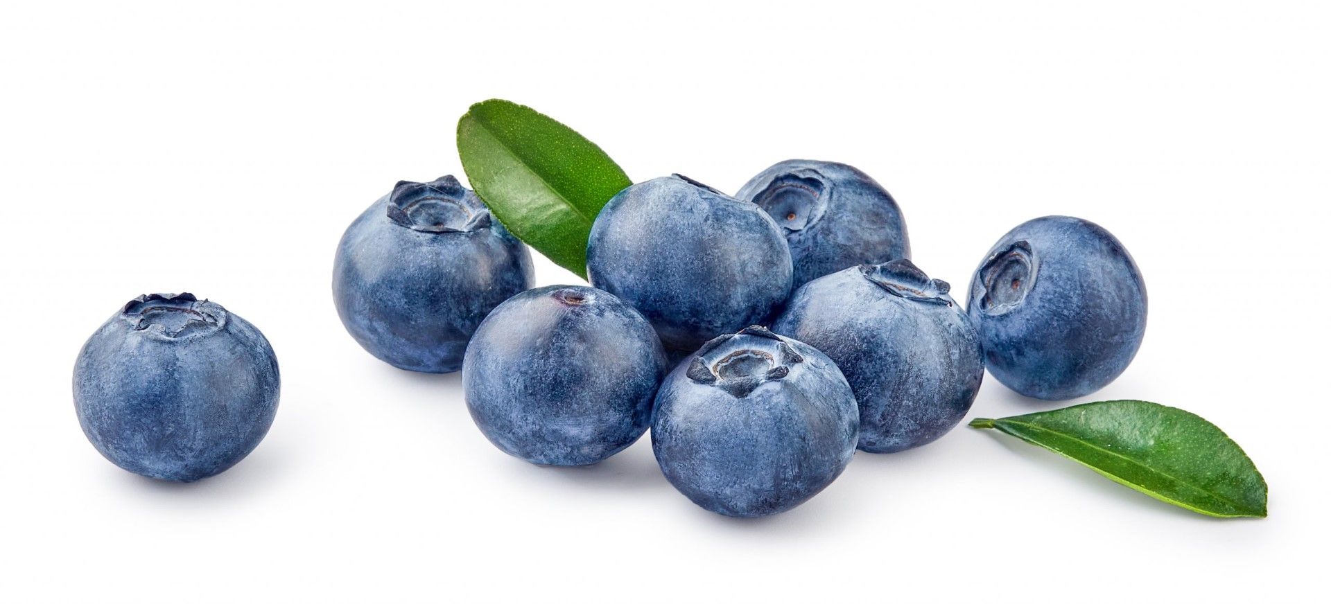 אוכמניות