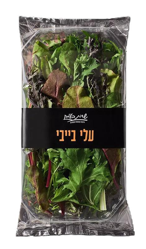 עלי בייבי