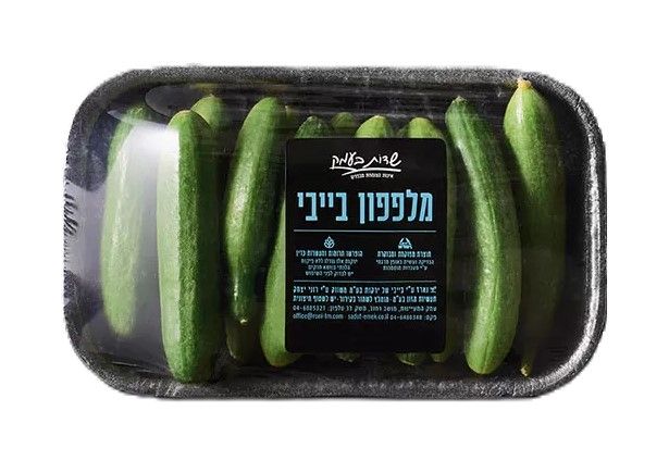 מלפפון בייבי