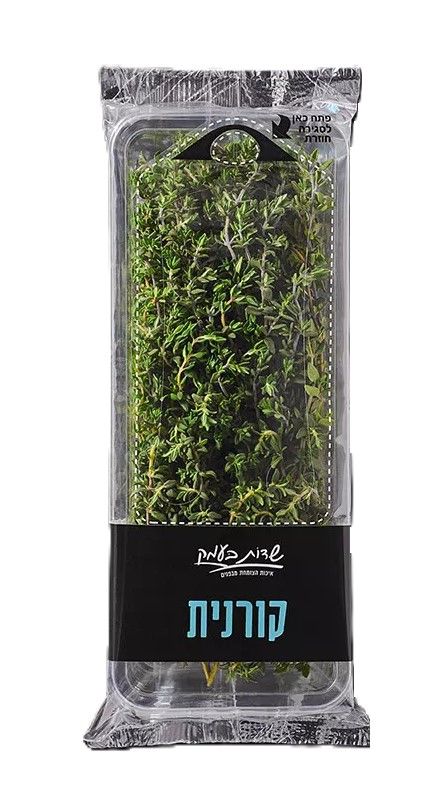 טימין (קורנית)