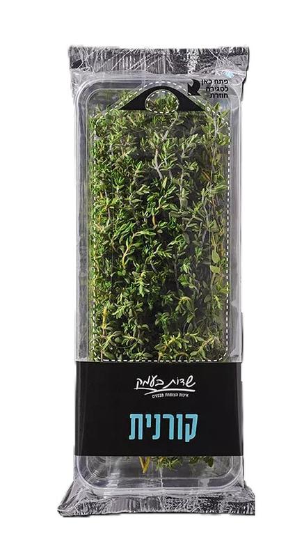 טימין (קורנית)