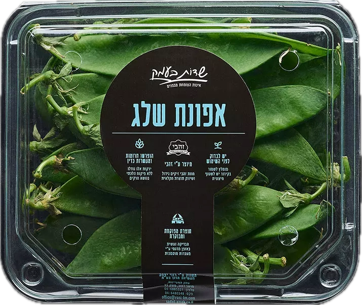 אפונת שלג
