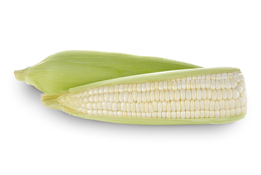 תירס לבן