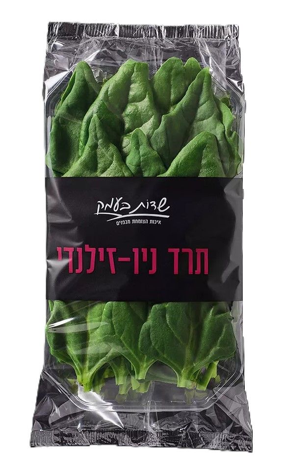 תרד ניו-זילנדי