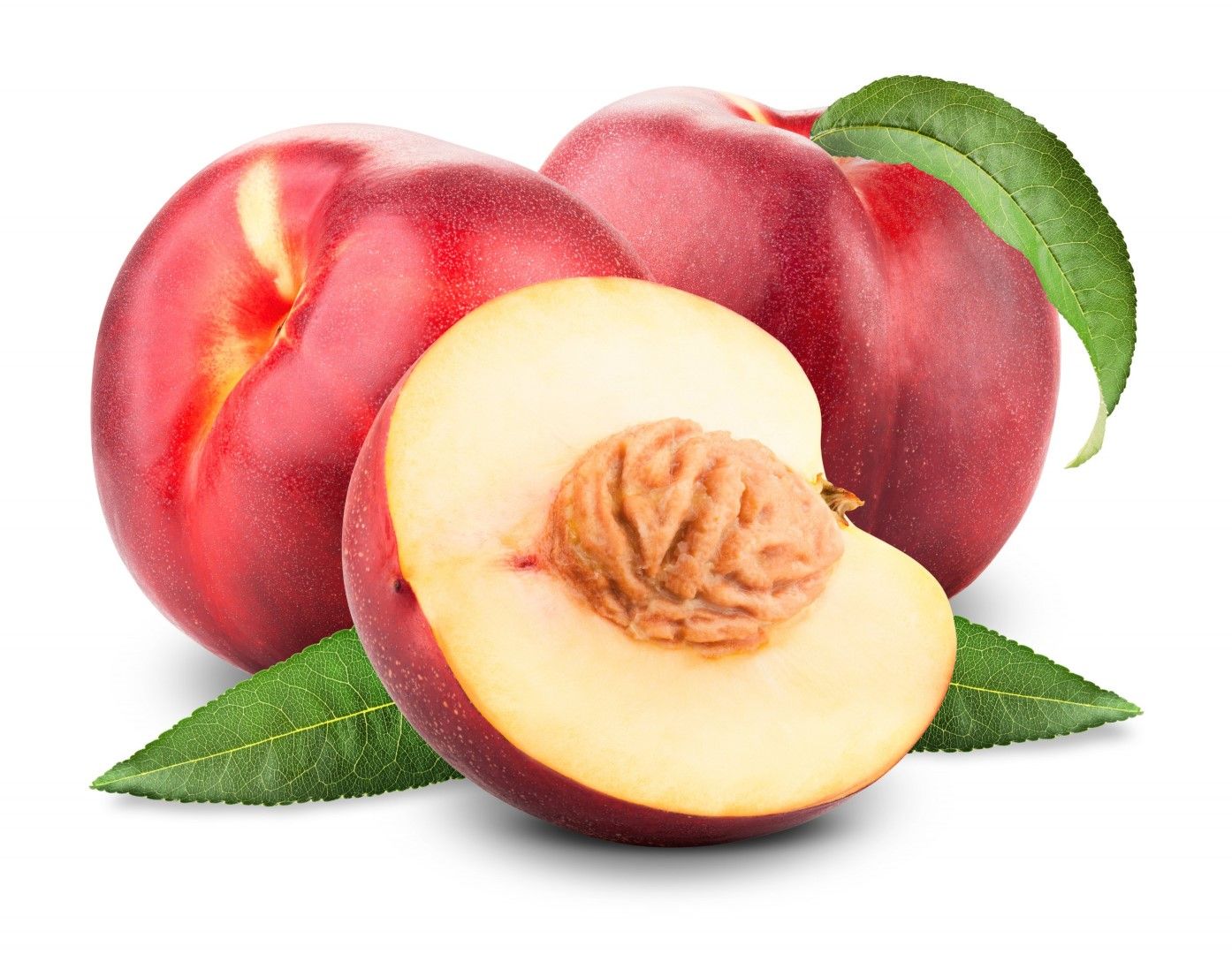 נקטרינה