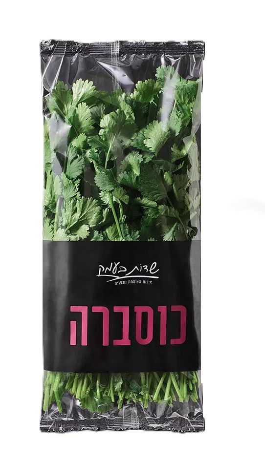 כוסברה