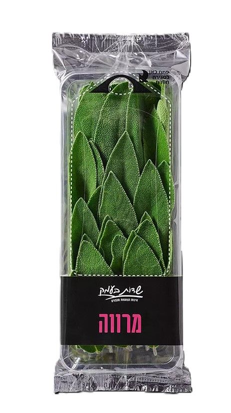 מרווה