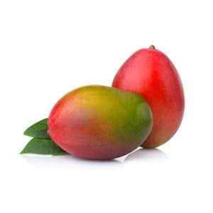 מנגו קיט