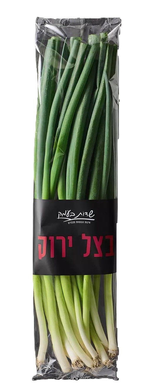 בצל ירוק