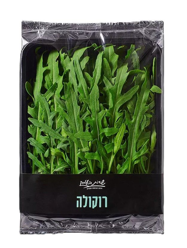 רוקולה