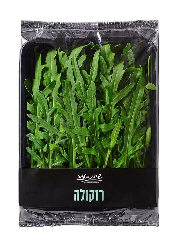 רוקולה