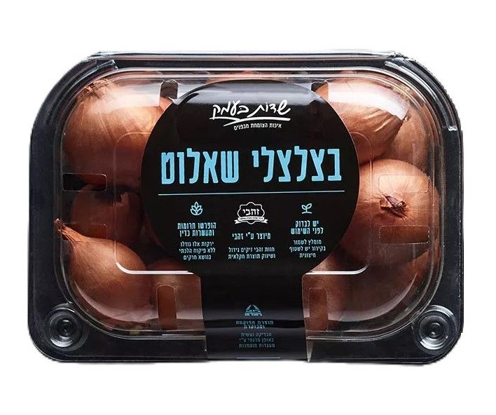 בצל שאלוט