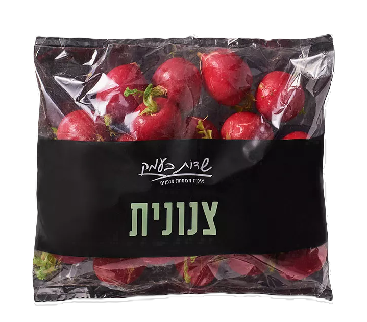 צנוניות