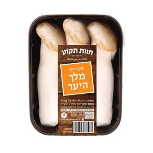 פטריות מלך היער