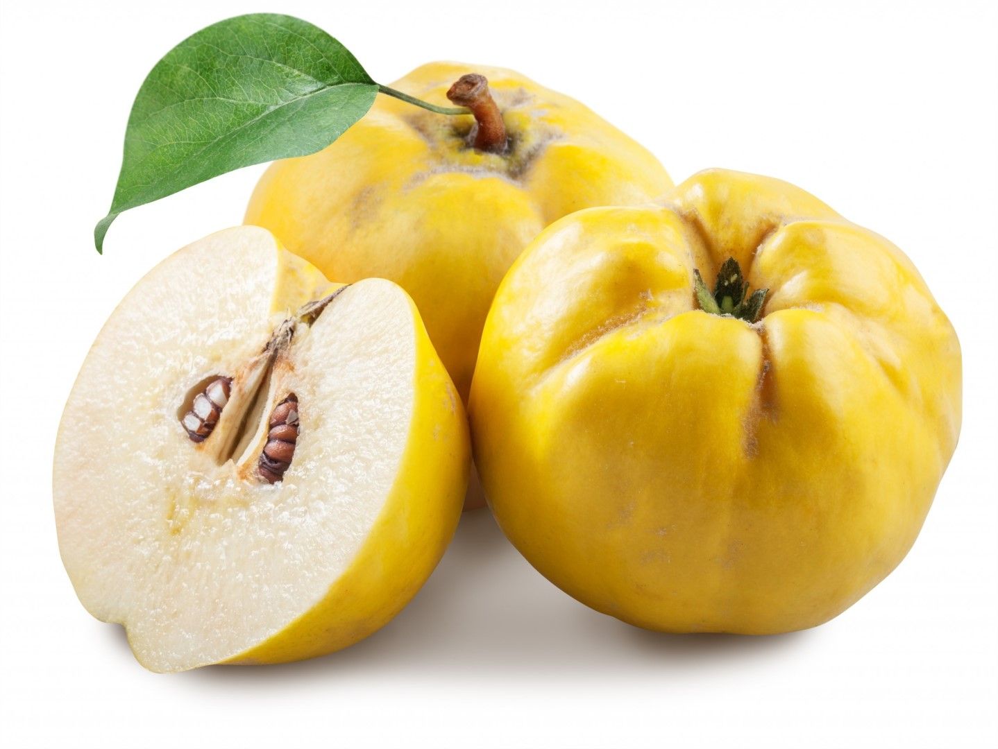 חבושים