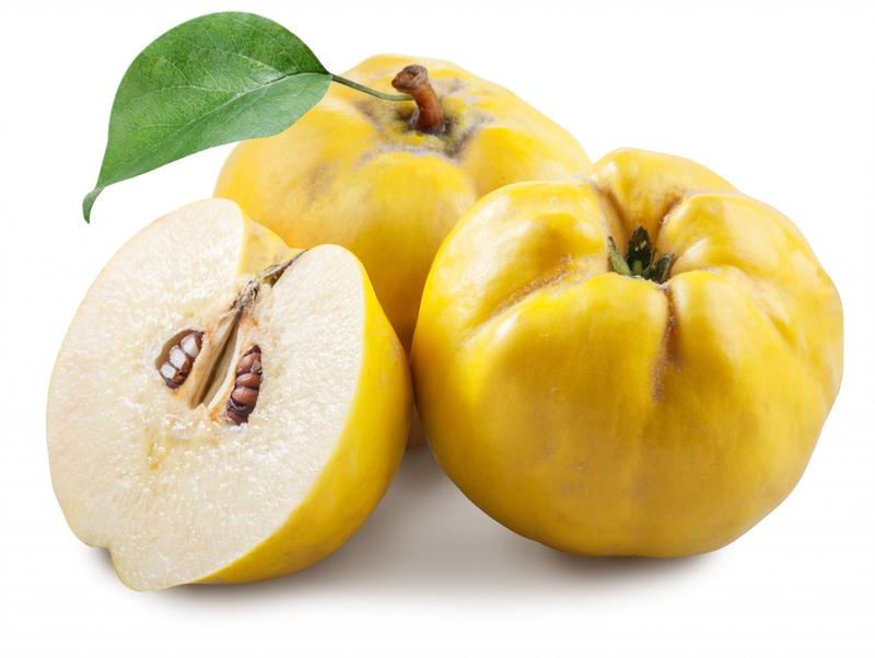 חבושים