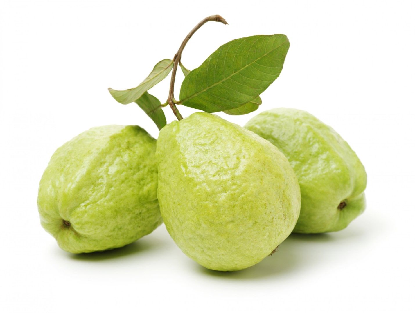 גויאבה