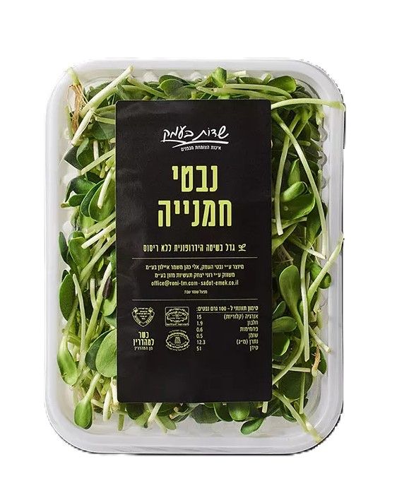 נבטי חמניה